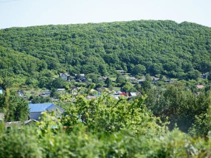 Свыше 220 млн рублей направят на развитие сельских территорий в Приморье