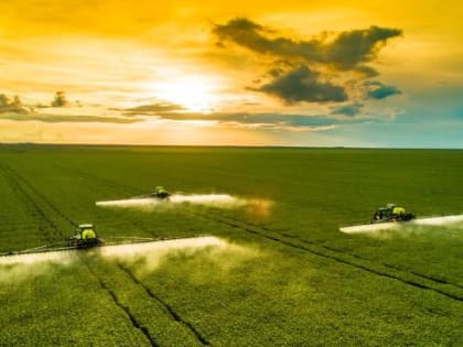 В 2023 году аграрии Иркутской области получили от Россельхозбанка 6 млрд рублей – все на льготный условиях