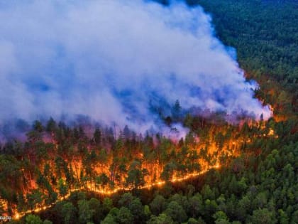 Губернатору Забайкалья Александру Осипову поставили на вид пожары вокруг Читы