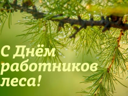 15 сентября - День работников леса!