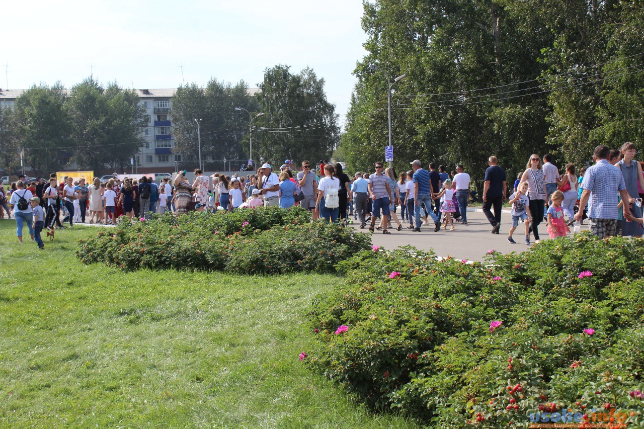 Сибирский на 10 дней. Погода в Усолье-Сибирском. Дождь в Усолье-Сибирском. Погода в Усолье-Сибирском на 10. Погода Усолье.