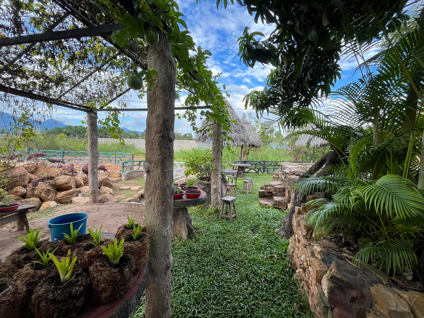Terreno en venta: Recreo turistico - Tarapoto