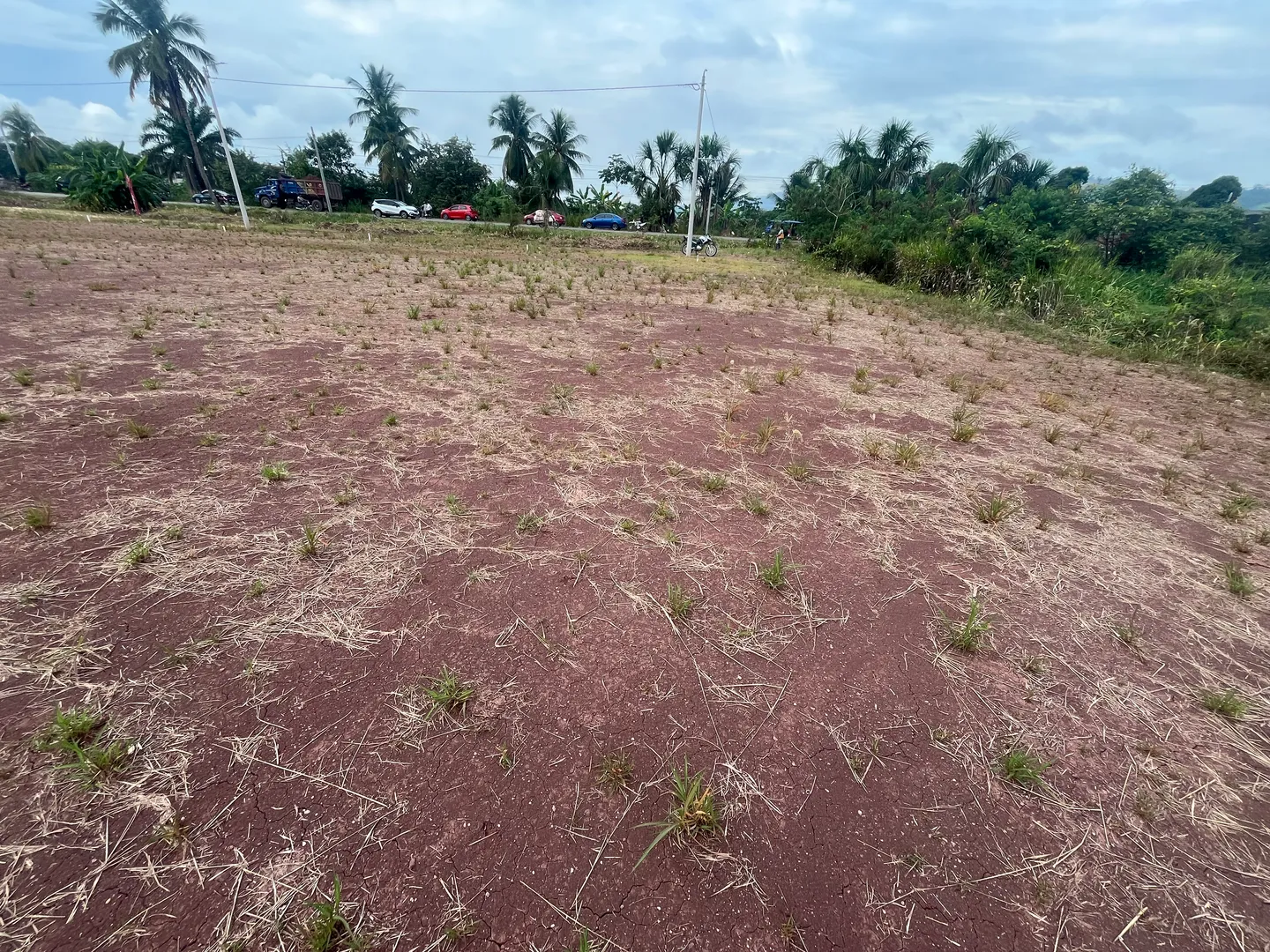 Terreno de 241.86m² para negocio a filo de pista  - Imagen 3