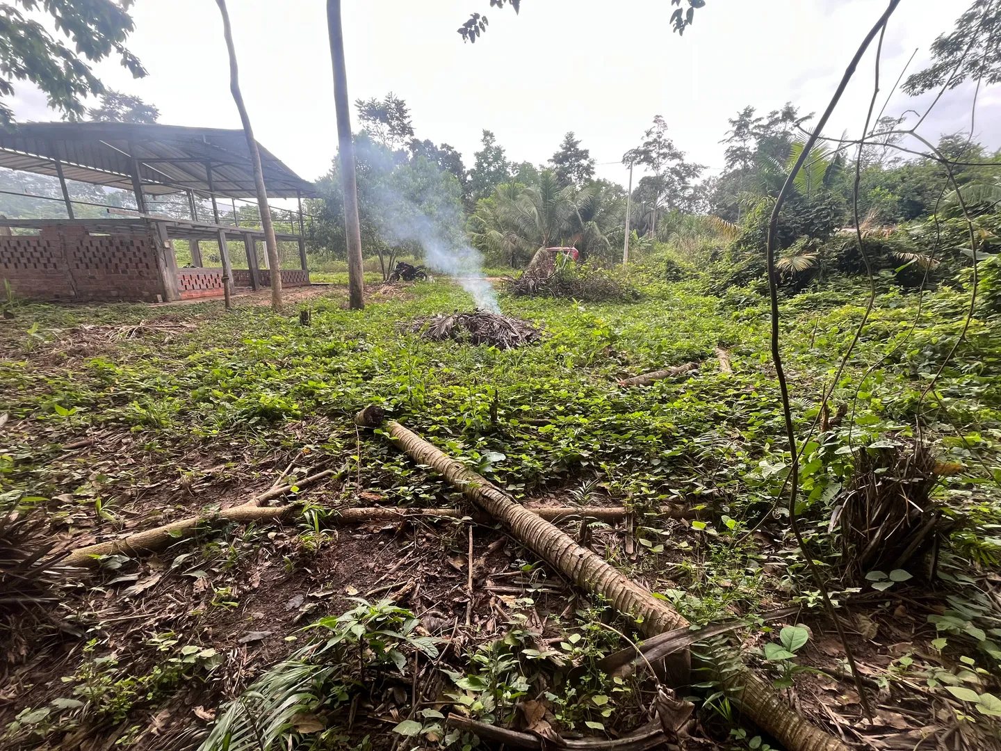 Terreno urbano con agua y luz, vecinos construyendo alrededor.