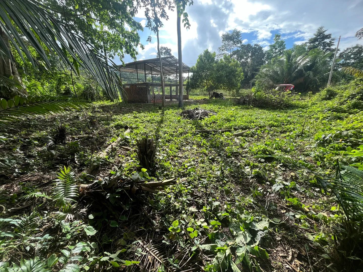 Terreno urbano con agua y luz, vecinos construyendo alrededor. - Imagen 3