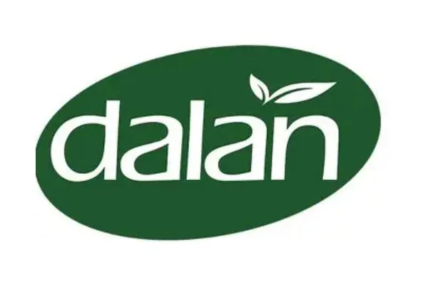 Dalan