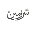 Sarzameen