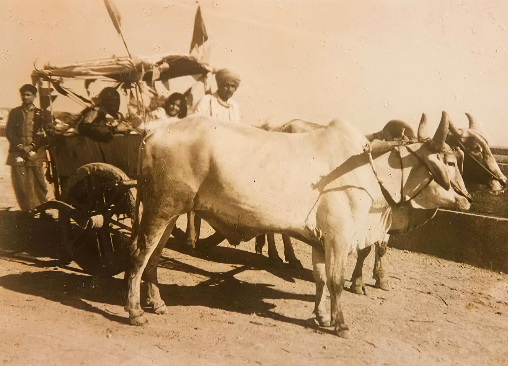 Photographie de Mâ Ânandamayî