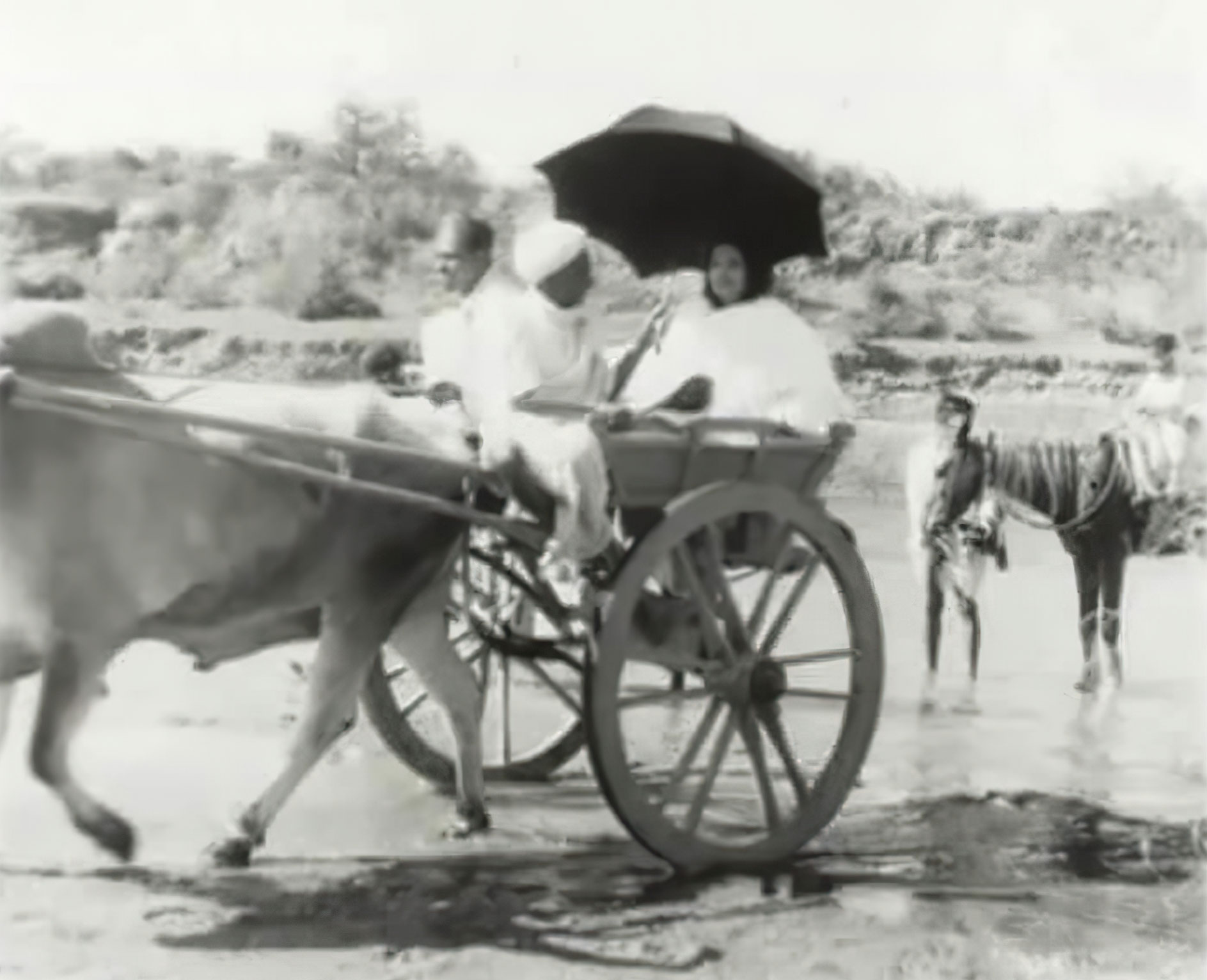 Photographie de Mâ Ânandamayî et Bhaiji