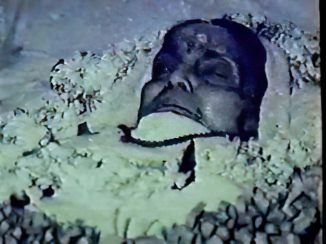 Mahasamadhi de Mâ Ânandamayî
