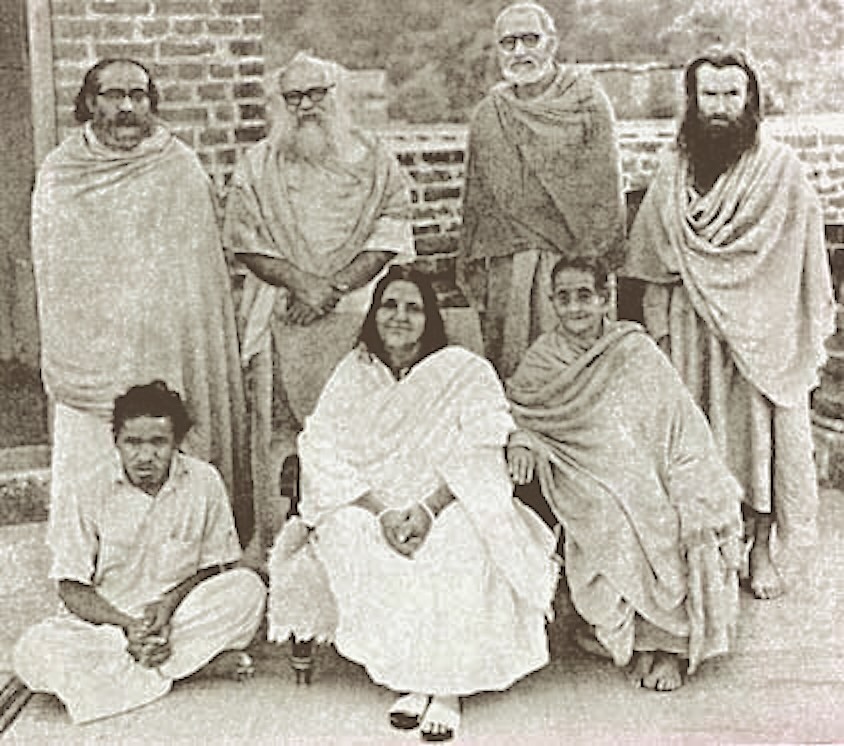 Mâ Ânandamayî, Didima et Vijayananda