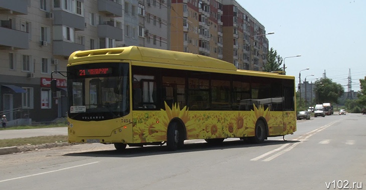 103 автобус волгоград. Автобус 2 Волгоград. Волгоградский Автобусный парк МУП ВПАТП 2. 130 Автобус Волгоград. Общественный транспорт Волгограда в 2023 году.