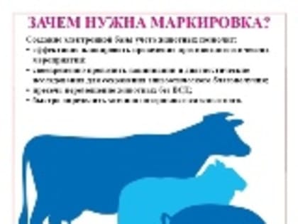 ГБУ ВО «Николаевская райСББЖ» напоминает владельцам животных