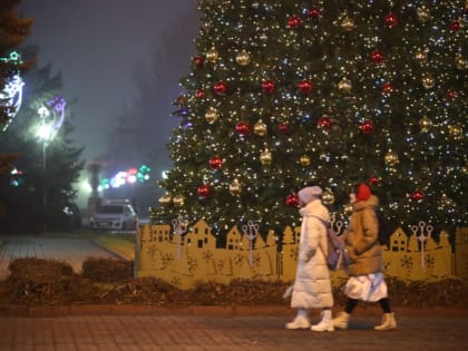 Перед Новым годом в Волгограде установится мягкая погода