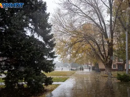 Пасмурно и дождь: погода на понедельник