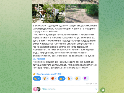 Засохшие саженцы в Волжском: что не так с высадкой деревьев