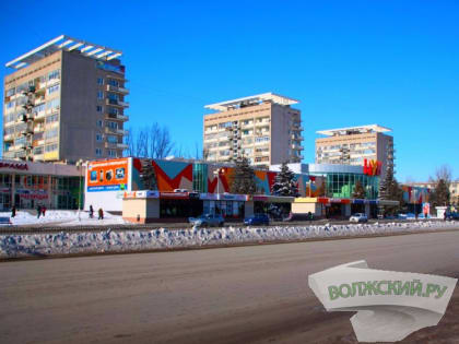 Лежала у кассы: в Волжском бродячая собака напала на мужчину в сетевом магазине