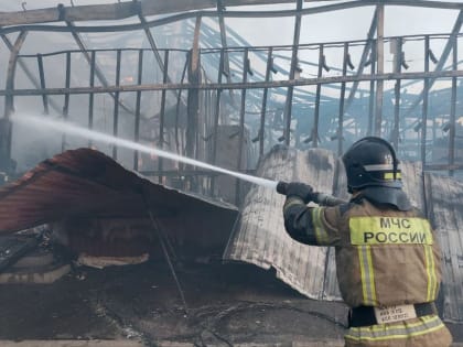В Волгоградской области работает телефон доверия для  торговцев сгоревшего рынка