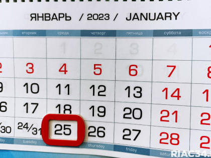 Волгоградцы должны представить налоговые декларации не позднее 25 января