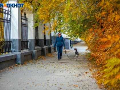 Похолодало: прогноз погоды на среду в Волжском
