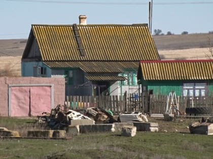 Под Волгоградом нашли опасную для коров и собак заразу