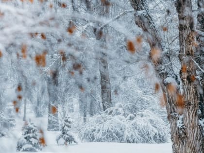 В начале недели в Волгоградскую область вновь вернутся морозы до -18 °С