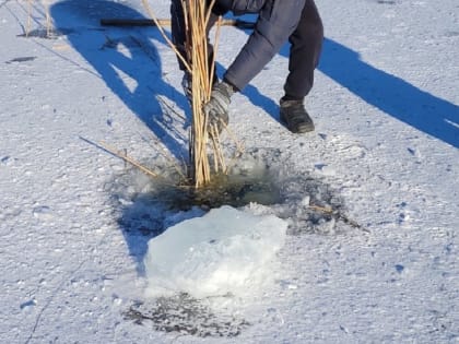 В Волгоградской области спасают задыхающихся рыб
