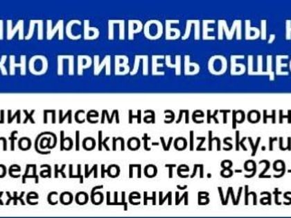 Волжский участник СВО вручил благодарственное письмо Игорю Воронину