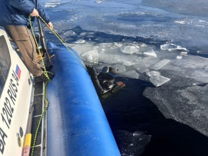 На Волгоградском водохранилище во время зимней рыбалки утонули отец с сыном