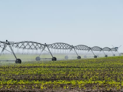 Площадь орошения в волгоградском регионе планируют увеличить до 92,6 тысячи га