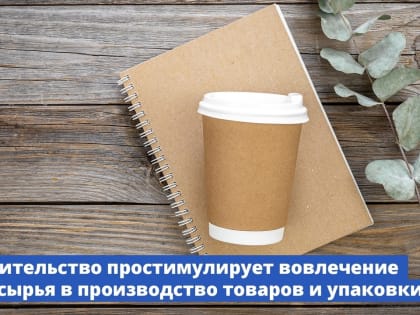 Правительство простимулирует вовлечение вторсырья в производство товаров и упаковки