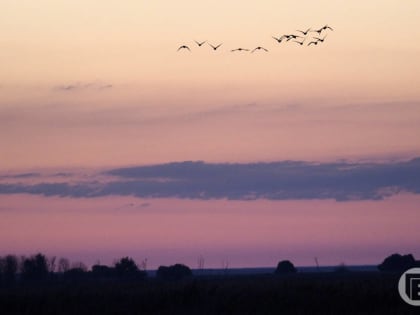 Оранжевый уровень опасности пришел в Волгоград