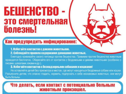 ﻿Профилактика бешенства. Информационные материалы 2023