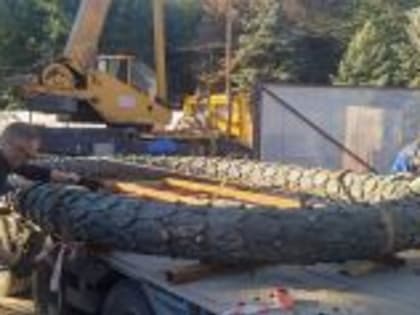 Восстановление братской могилы с вечным огнем в центре города