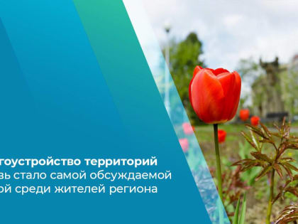 Благоустройство территорий вновь стало самой обсуждаемой темой среди волгоградцев