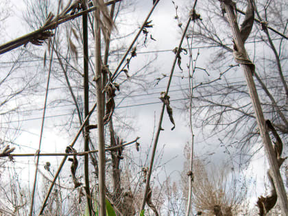 Волгоградские чиновники решили потратить десятки миллионов рублей на пиар в условиях дефицита бюджета, - портал «Остров Свободы»