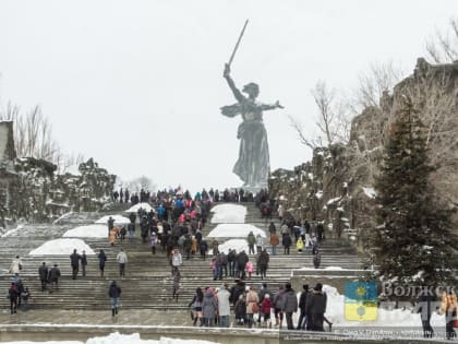 На первом заседании общественной палаты Волгограда VII созыва утвердили шесть профильных комиссий и руководителей