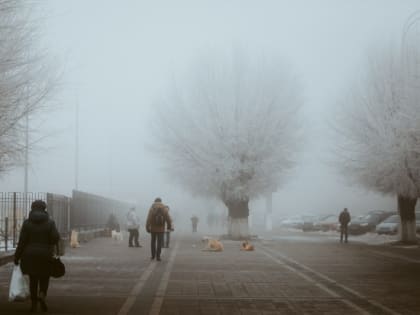 Туман и гололед при -5 ожидаются в Волгоградской области 20 декабря