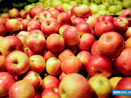 В Волгоградской области активно стартовал сбор урожая фруктов и ягод