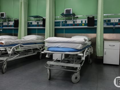 Шесть жителей Волгограда заразились лихорадкой Западного Нила