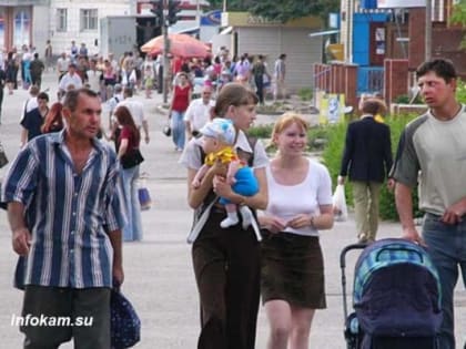 Для самозанятых разработали модель добровольного социального страхования