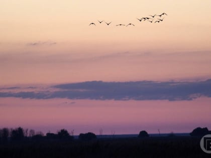 Шторм надвигается на Волгоградскую область