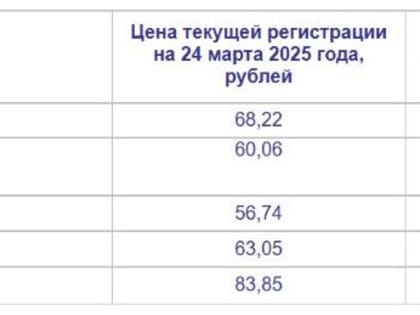 Рост цен на некоторые марки бензина приостановился в Волжском