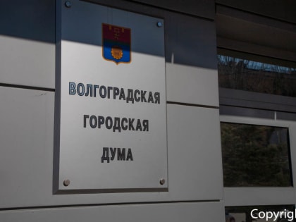 Избирком опубликовал предварительные итоги выборов в Волгоградскую городскую думу