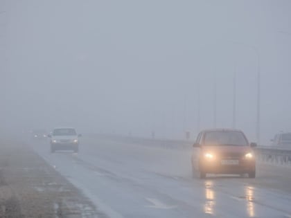 В Волгоградской области 25 декабря ожидаются туман и гололед при +3°С