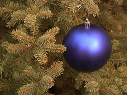 Только четверть волгоградцев встретили Новый год в праздничном настроении