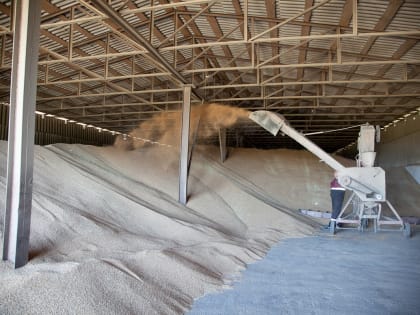 В Волгоградской области идёт подготовка к весенней посевной кампании