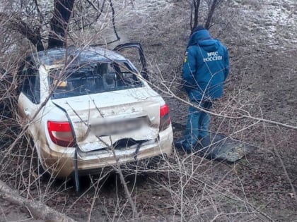 В Волгограде женщина на «Гранте» с двумя детьми улетела в дерево и разбилась насмерть