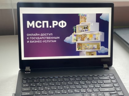 Волгоградские предприниматели получили тысячи услуг через платформу МСП.РФ