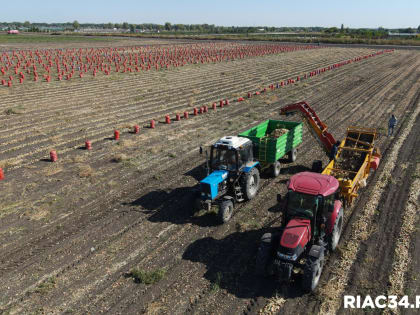 В Волгоградской области создадут несколько передовых центров в сфере АПК